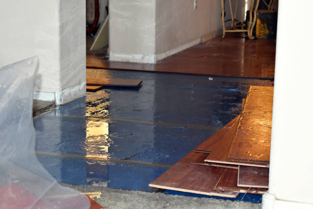 Professional Flood Damage Repair technician working in Claude, TX